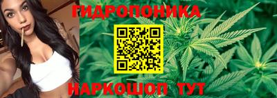 спиды Заводоуковск