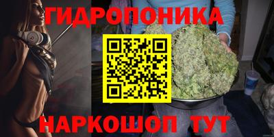 индика Жуковский