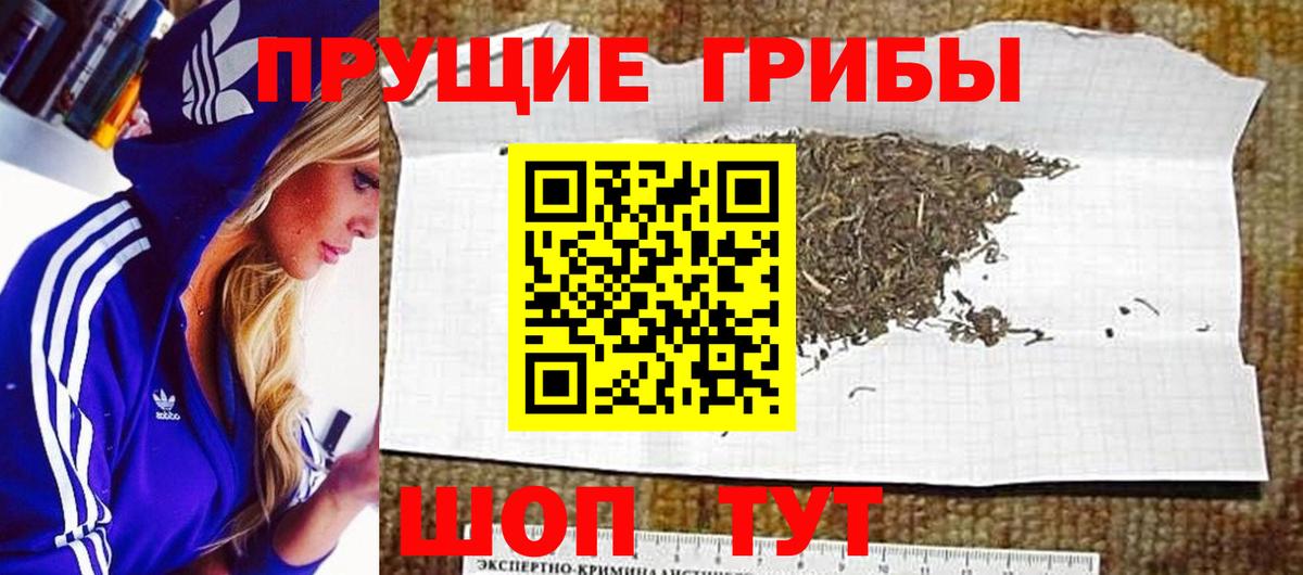 Псилоцибиновые грибы GOLDEN TEACHER  Вход с VPN  Мурино 